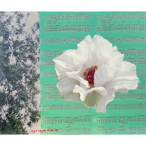 Nature’s Rhythm 1601